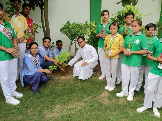 TREE PLANTATION DIRECTED BY THE GOVERNMENT
