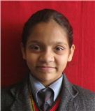 ARSHI ALI